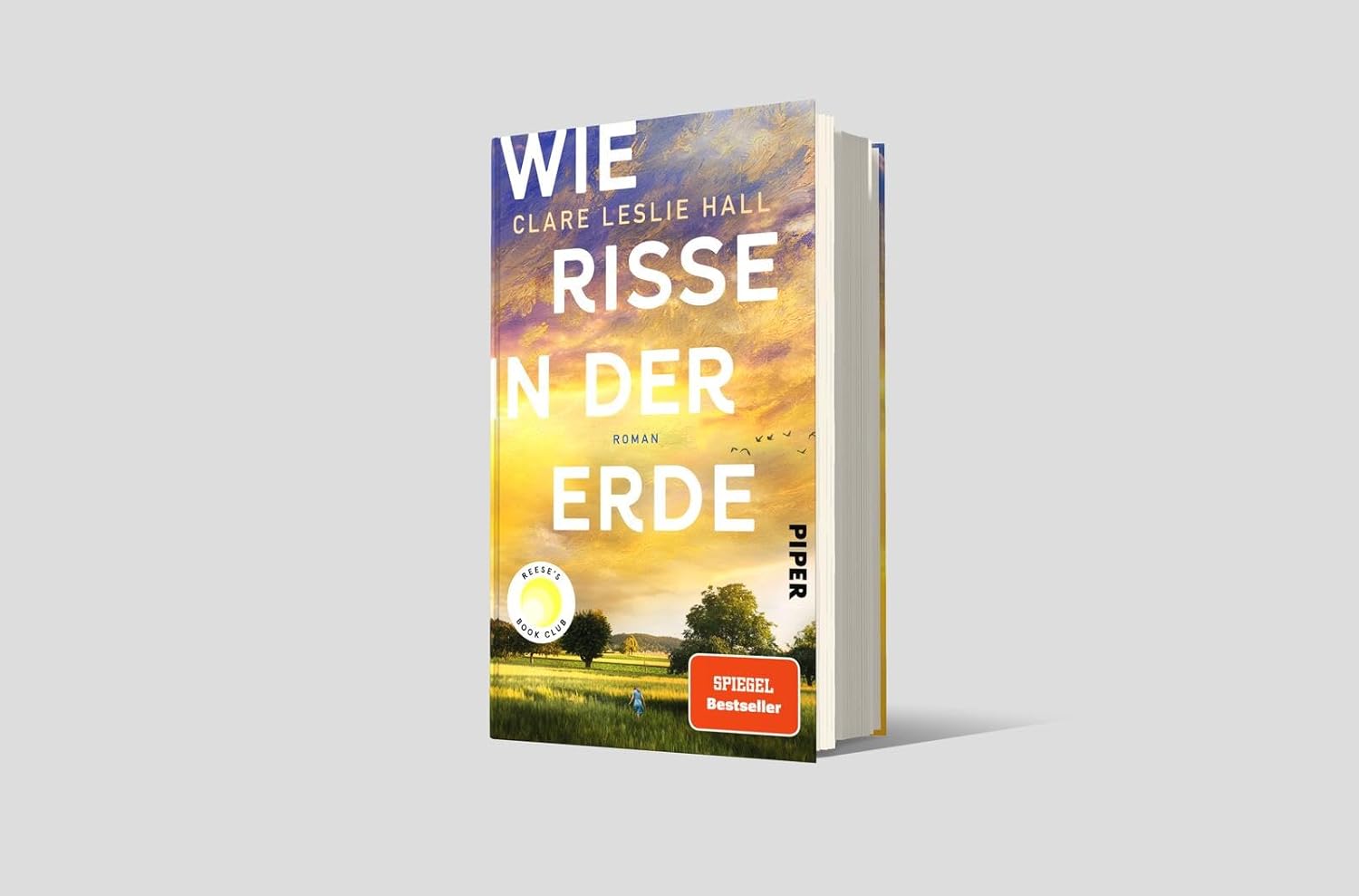 Bücher - Wie Risse in der Erde: Roman | »Ein Buch, das man vielleicht nie in seinem Leben wieder vergisst.« Deutschlandfunk Kultur – Bild 12