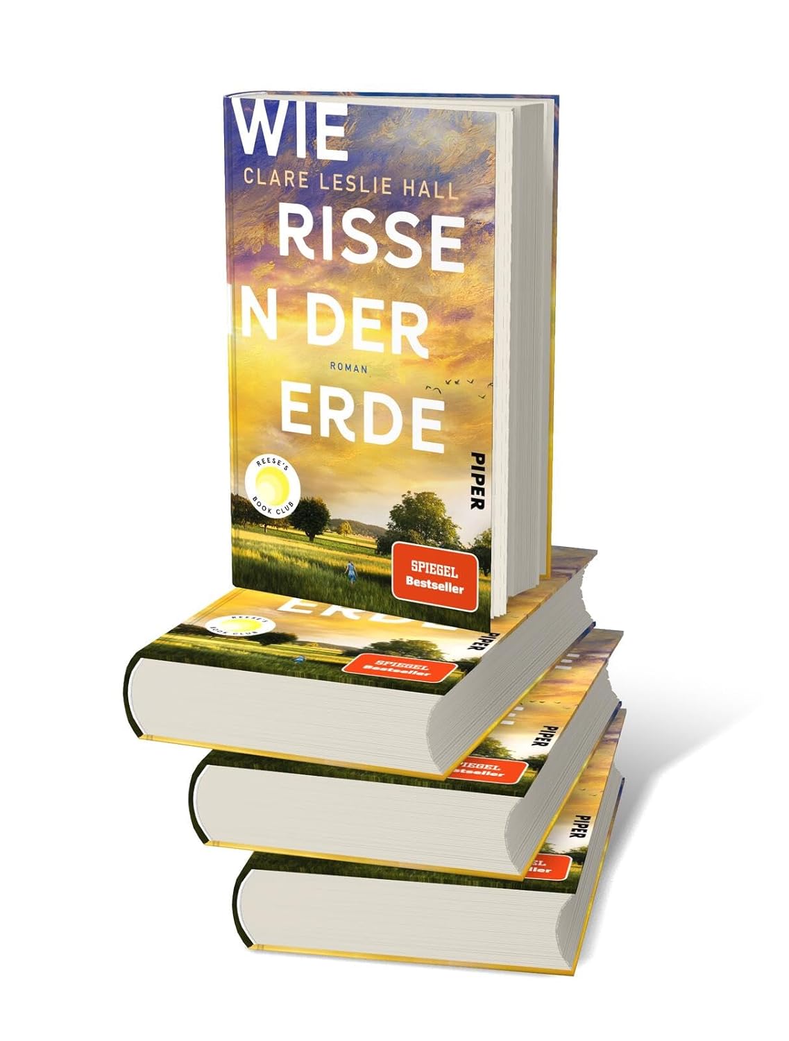Bücher - Wie Risse in der Erde: Roman | »Ein Buch, das man vielleicht nie in seinem Leben wieder vergisst.« Deutschlandfunk Kultur – Bild 13