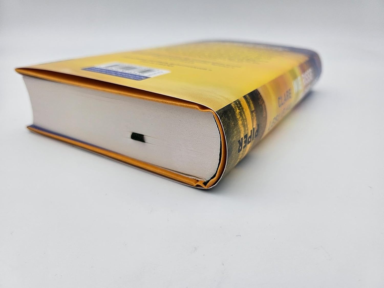 Bücher - Wie Risse in der Erde: Roman | »Ein Buch, das man vielleicht nie in seinem Leben wieder vergisst.« Deutschlandfunk Kultur – Bild 8