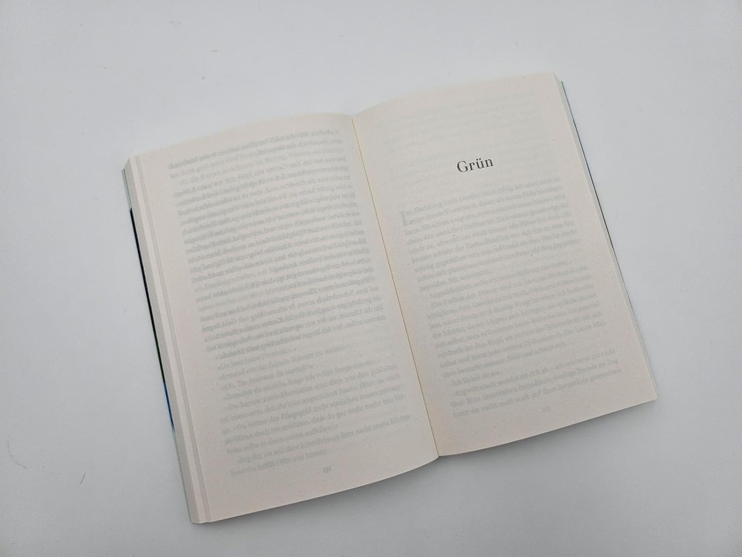 Bücher - Alle Farben meines Lebens: Roman | Der SPIEGEL-Bestseller jetzt im Taschenbuch – Bild 9