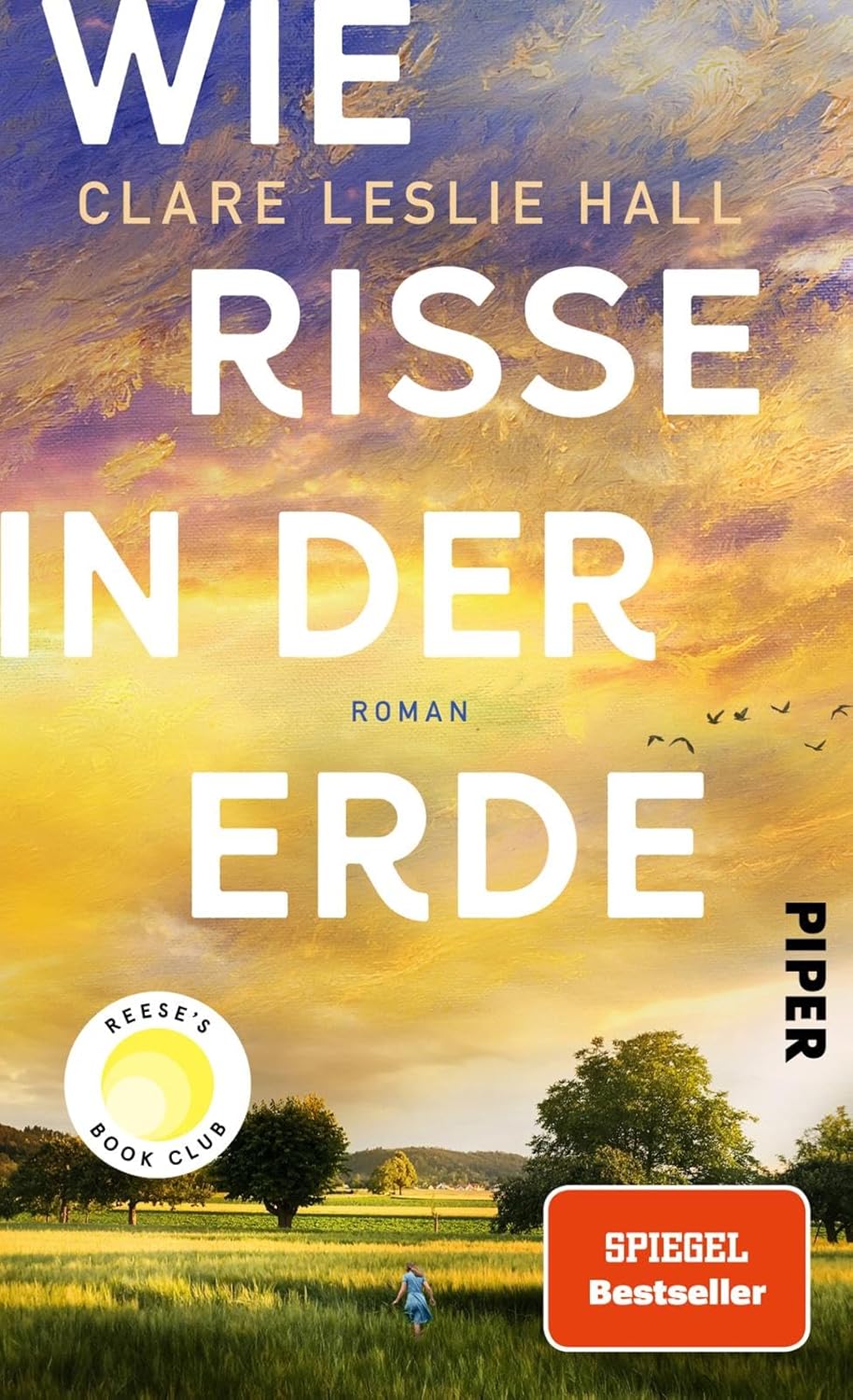 Bücher - Wie Risse in der Erde: Roman | »Ein Buch, das man vielleicht nie in seinem Leben wieder vergisst.« Deutschlandfunk Kultur