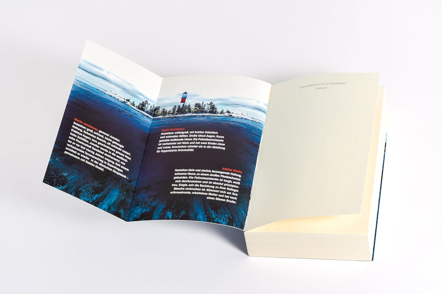 Bücher - Eisland: Ein Fall für Juncker und Kristiansen – Nervenzerreißende skandinavische Spannung – der nächste Fall der Nr.-1-SPIEGEL-Bestsellerreihe (Juncker & Kristiansen, Band 5) – Bild 6