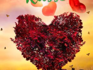 Bücher – Spätsommerküsse