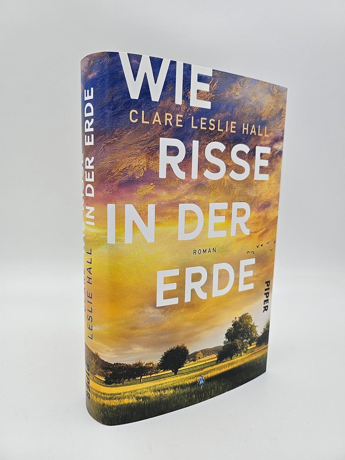 Bücher - Wie Risse in der Erde: Roman | »Ein Buch, das man vielleicht nie in seinem Leben wieder vergisst.« Deutschlandfunk Kultur – Bild 6