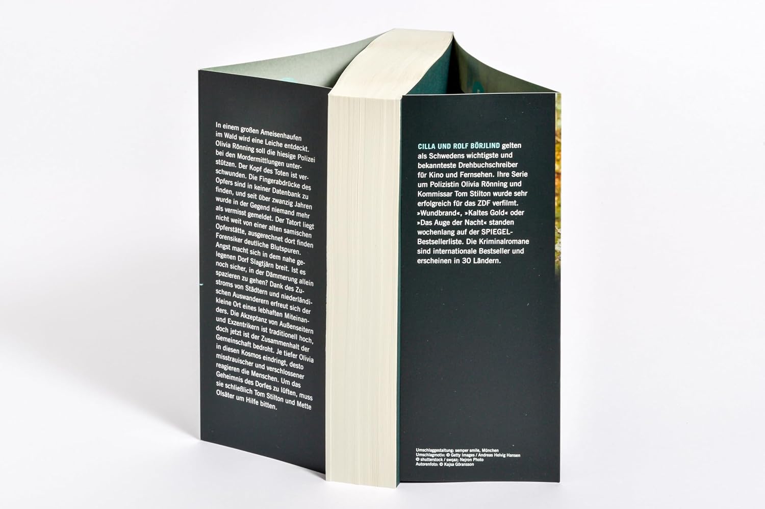 Bücher - Schatten über dem Wald: Kriminalroman (Die Rönning/Stilton-Serie, Band 9) – Bild 4