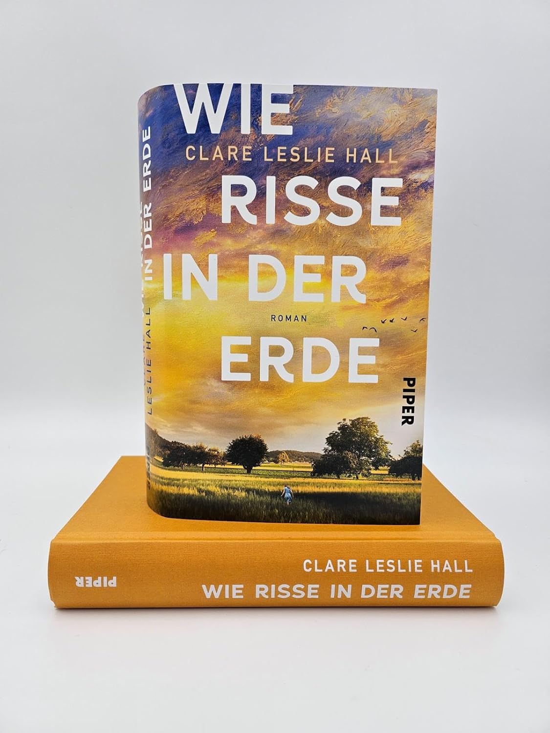 Bücher - Wie Risse in der Erde: Roman | »Ein Buch, das man vielleicht nie in seinem Leben wieder vergisst.« Deutschlandfunk Kultur – Bild 9