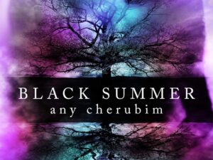 Bücher – Black Summer – Teil 2: Liebesroman