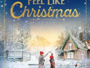 Bücher – Bei dir fühle ich mich wie zu Weihnachten: Roman
