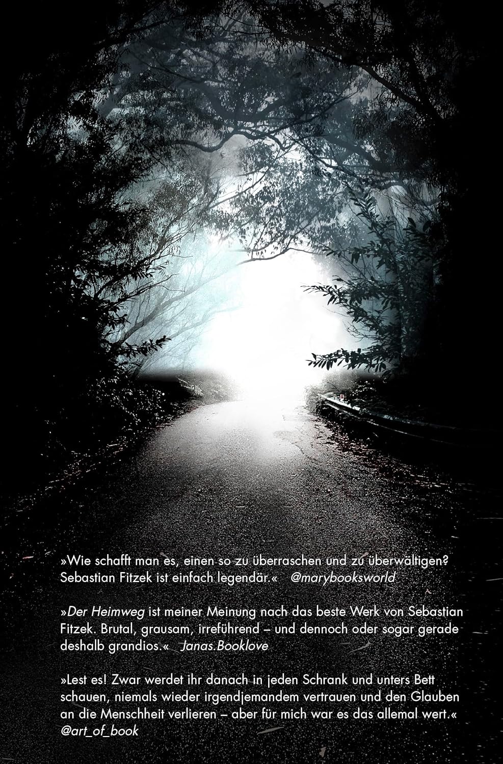 Bücher - Der Heimweg: Psychothriller | SPIEGEL-Bestseller | »Kein deutscher Spannungsautor beherrscht die Klaviatur des Schreckens so wie Sebastian Fitzek.« Rhein-Neckar-Zeitung – Bild 5