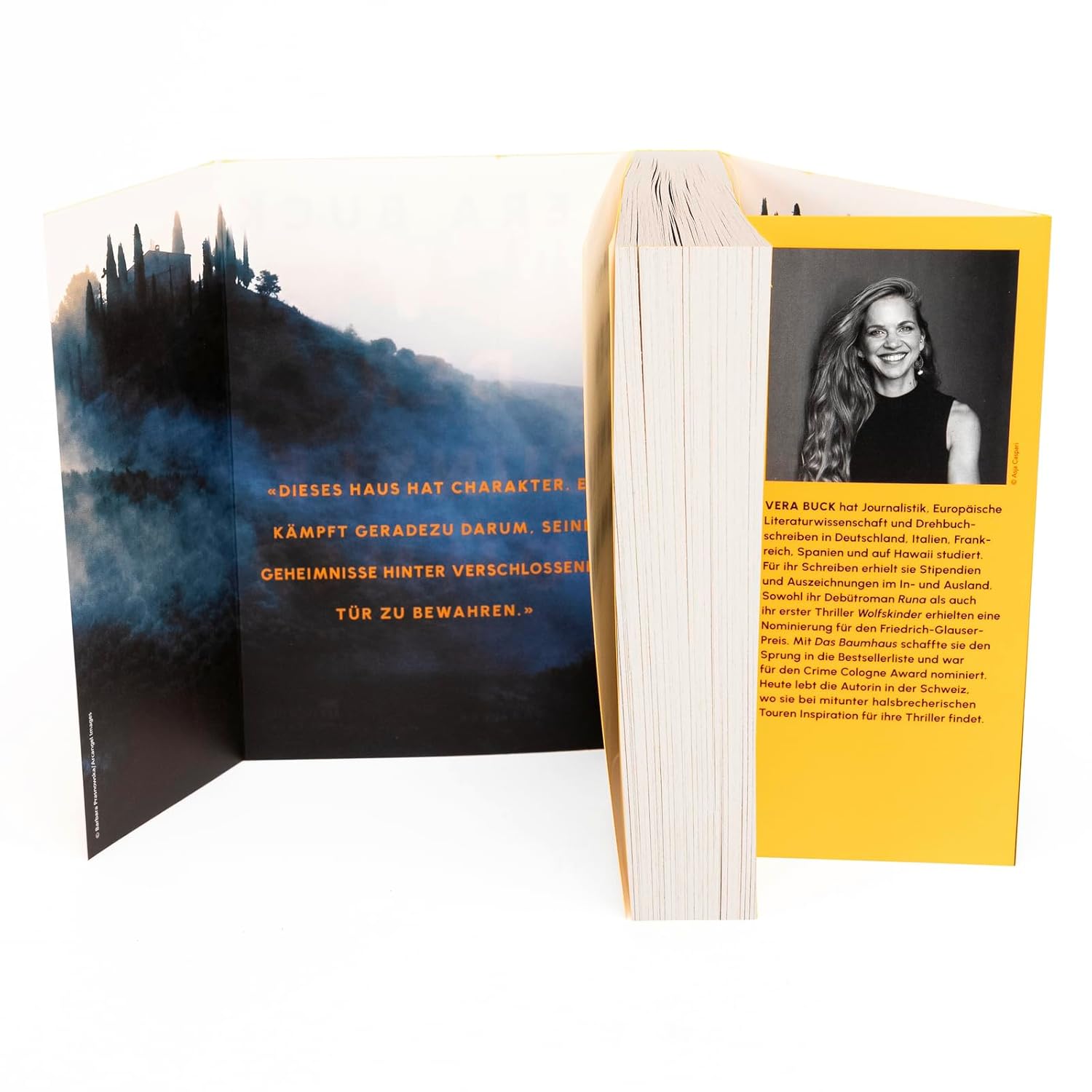 Bücher - Der dunkle Sommer: Nur einer weiß, was in jener Nacht geschah. | Thriller – Bild 5