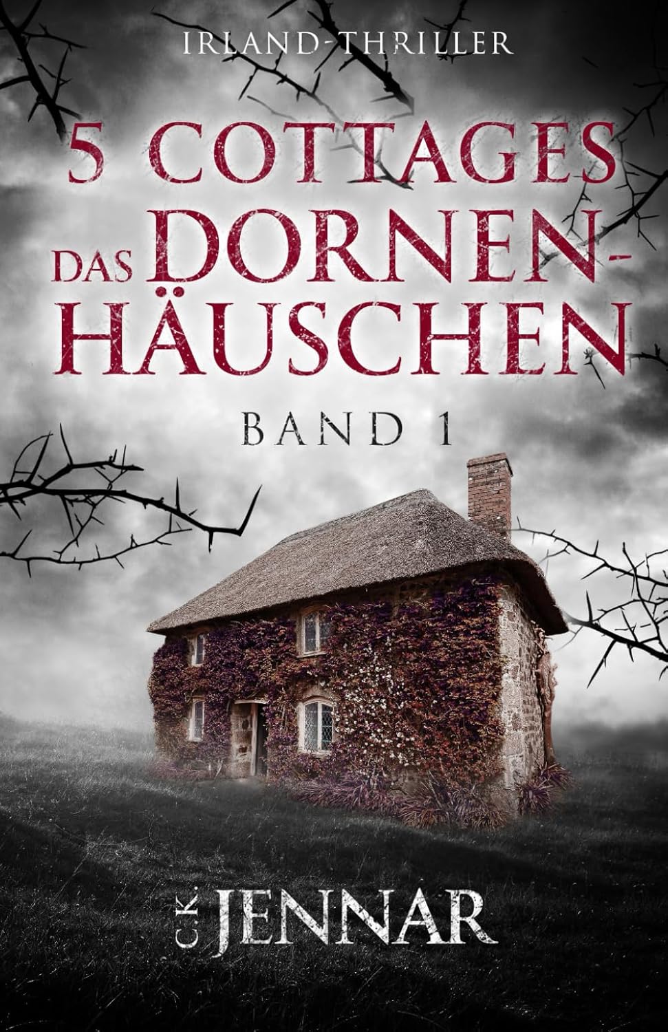 Bücher - 5 Cottages - Das Dornenhäuschen: Band 1 | Irland-Thriller (Die 5-Cottages-Serie)