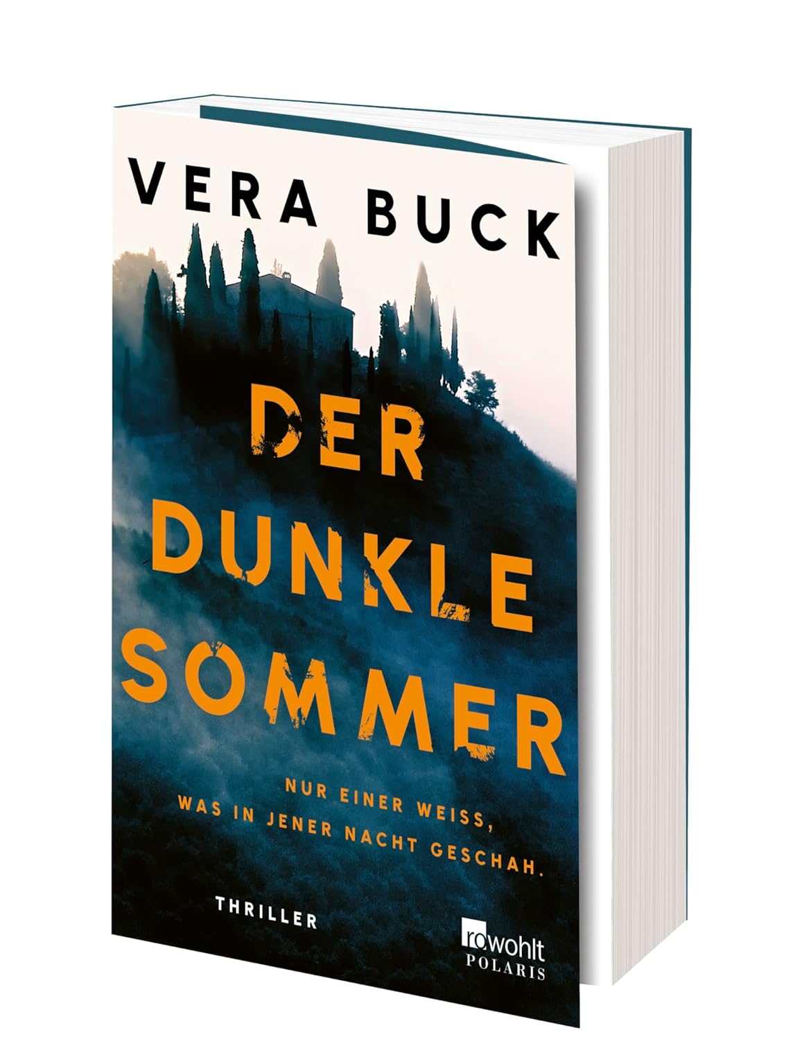 Bücher - Der dunkle Sommer: Nur einer weiß, was in jener Nacht geschah. | Thriller – Bild 3