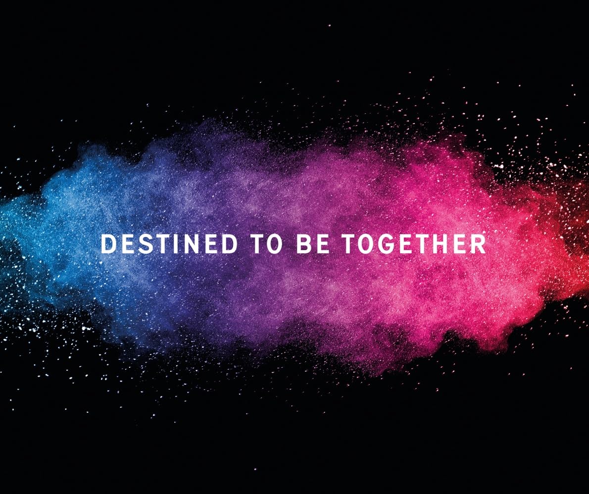 Bücher - Boys of Tommen 1: Binding 13: Die BookTok Sensation endlich auf Deutsch - farbiger Buchschnitt in limitierter Auflage (1) – Bild 5