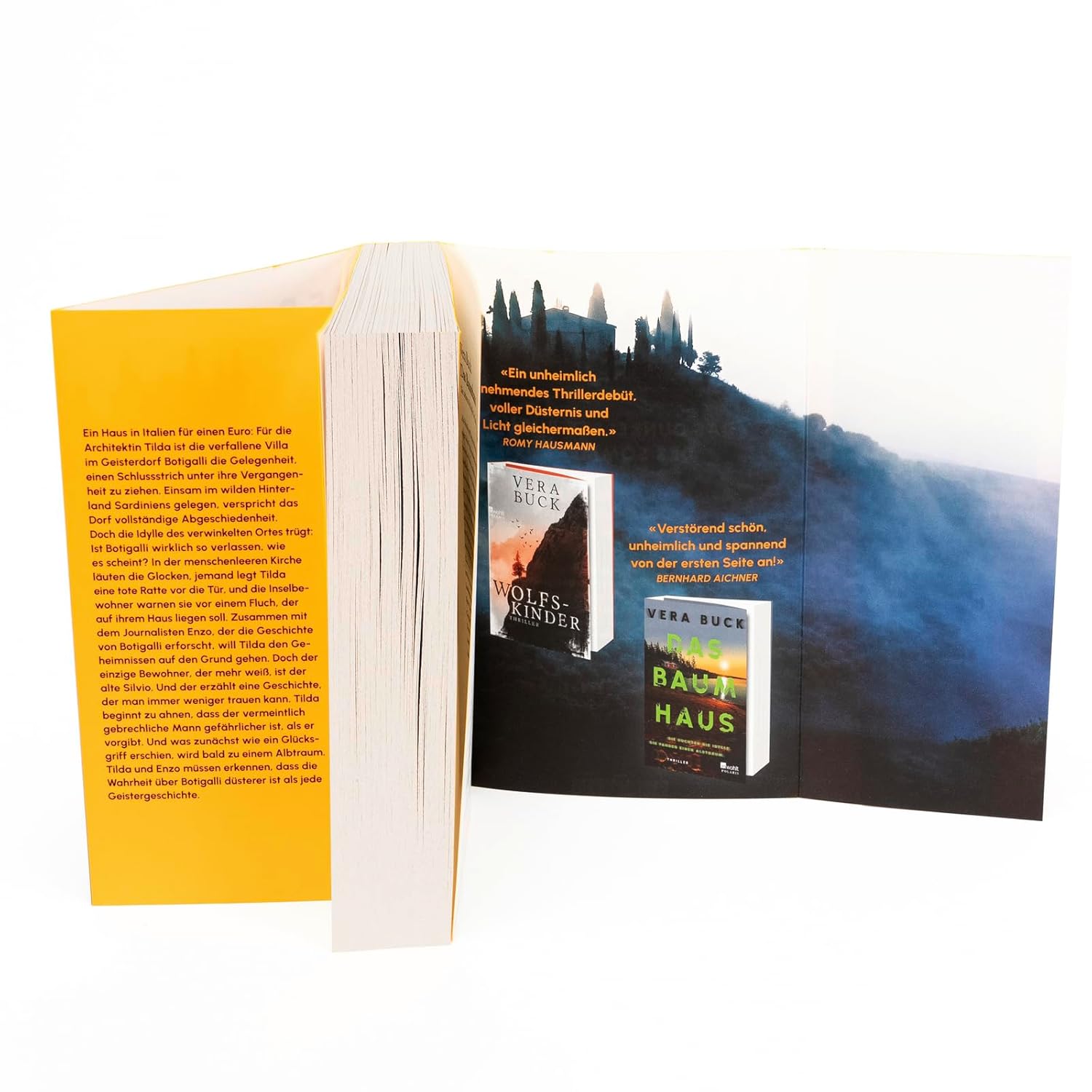 Bücher - Der dunkle Sommer: Nur einer weiß, was in jener Nacht geschah. | Thriller – Bild 4