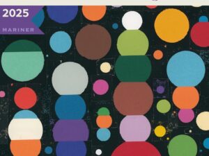 Bücher – Die beste amerikanische Science-Fiction und Fantasy 2025: Ein erstklassiges Schaufenster vielfältiger Autoren und ausgedehnter Welten in Science-Fiction und Fantasy, handverlesen von … (Beste amerikanische Science-Fiction und Fantasy)