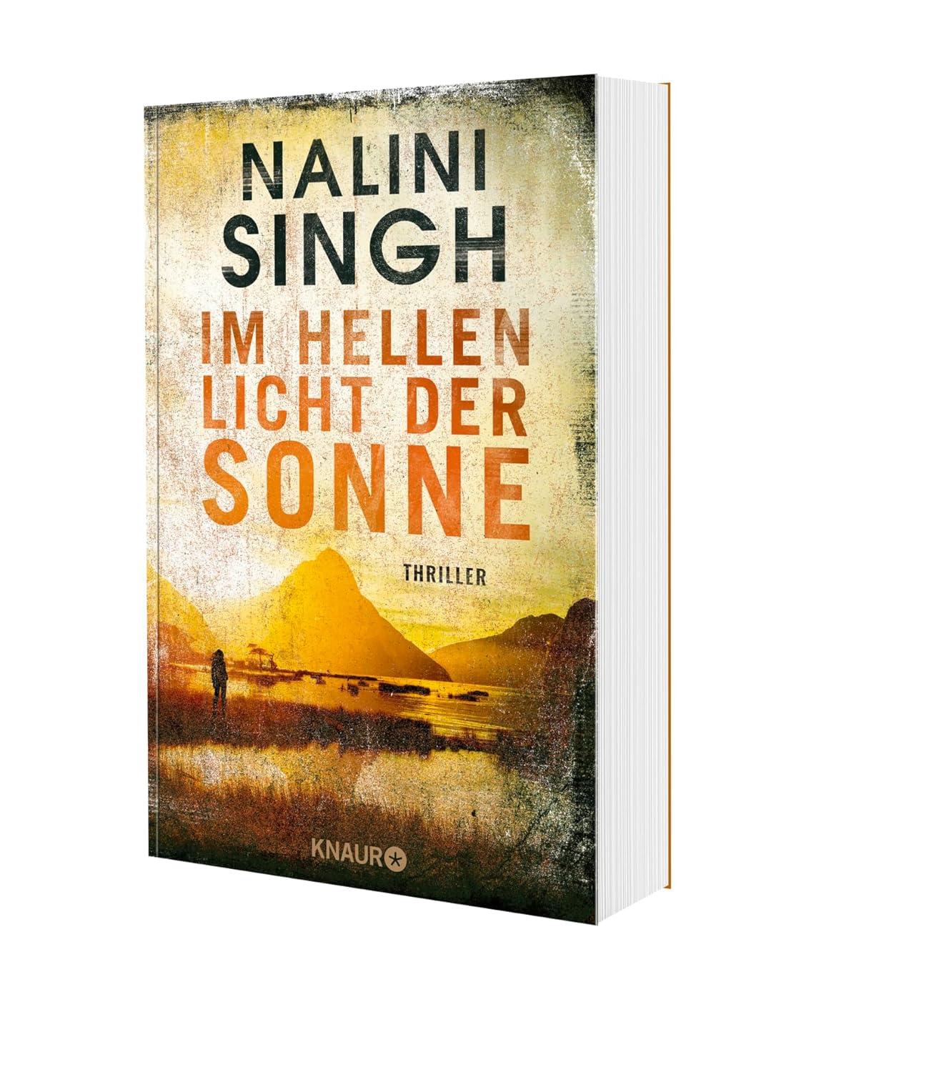 Bücher - Im grausamen Licht der Sonne: Thriller – Bild 2