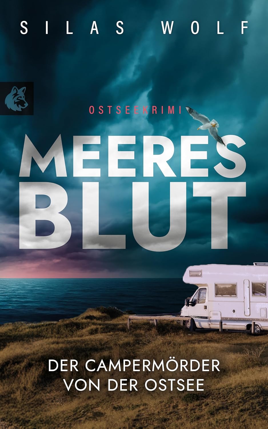 Bücher - Meeresblut – Der Campermörder von der Ostsee: Küstenkrimi – Ostseekrimi (Sönke Petersen ermittelt 4)