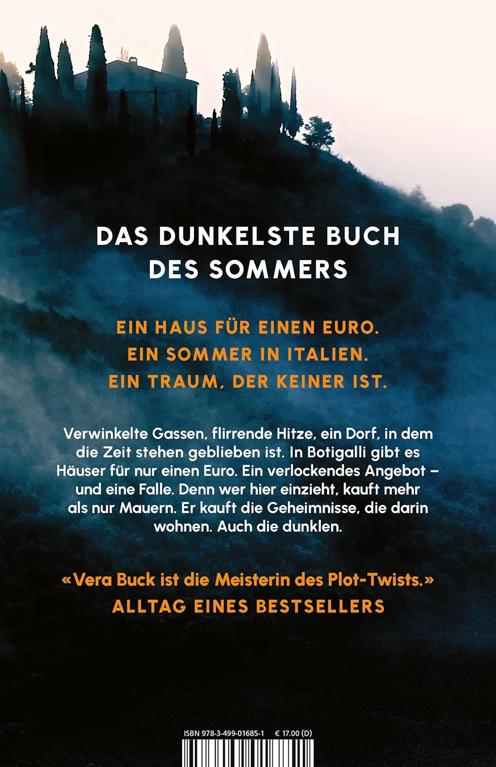 Bücher - Der dunkle Sommer: Nur einer weiß, was in jener Nacht geschah. | Thriller – Bild 2