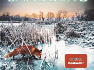 Bücher – Rauhnächte: Thriller – Atmosphärische Spannung von der SPIEGEL-Bestsellerautorin