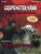 Bücher – Gespenster-Krimi 185: Ein Grab ohne Namen